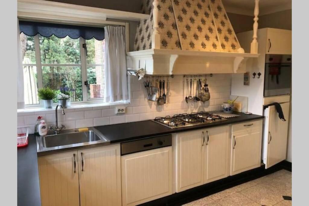 Vrijstaande Rietgedekte Villa Nabij Uitvalswegen Wassenaar Zewnętrze zdjęcie